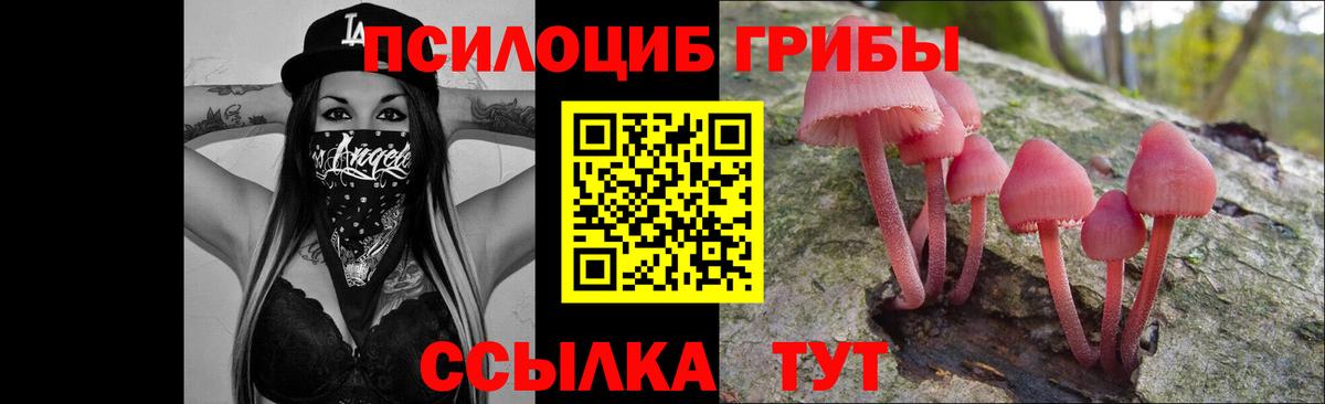 Карасук  Галлюциногенные грибы прущие грибы  Вход с VPN 